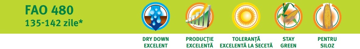 Caracteristici hibrid porumb Pioneer P0412 Aquamax